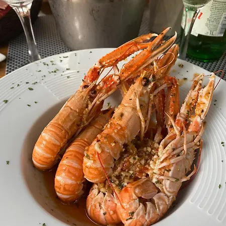 Oliwa * Vinišće